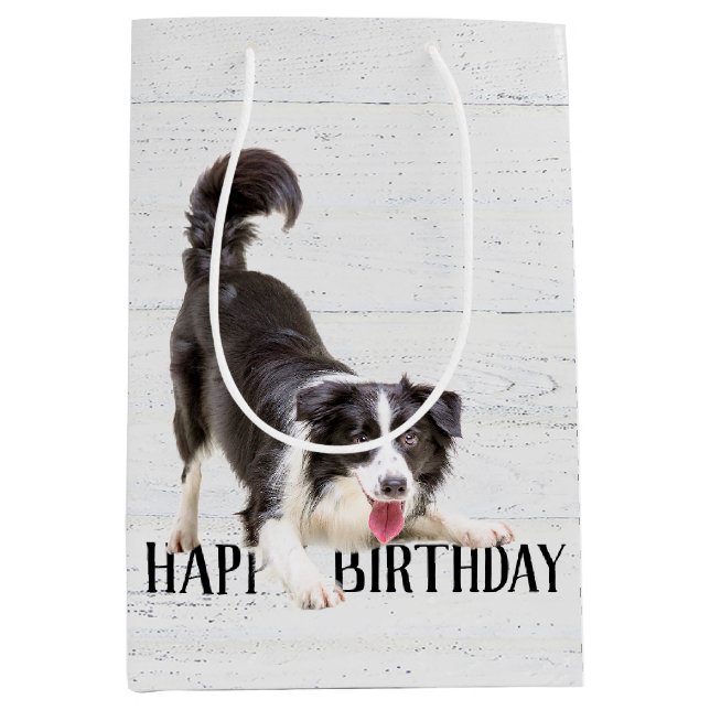 Birthday Border Collie on Wood Medium Gift Bag (Front)