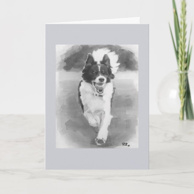 Birthday - Border Collie playing fetch Card (Front)