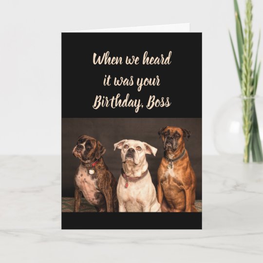 Birthday Boss Humour From All Of Us Boxer Dog Fun Card Zazzle Co Uk