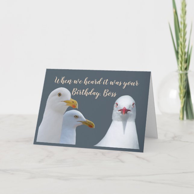 Birthday Boss Humour From all of Us Flock Seagulls Card (Front)