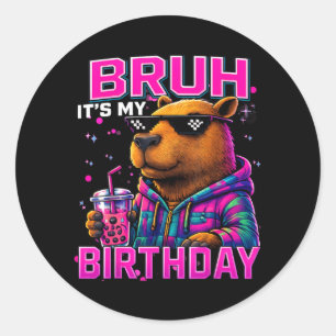 Birthday Boy Funny Capybara Birthday Girl Gamer Classic Round Sticker
