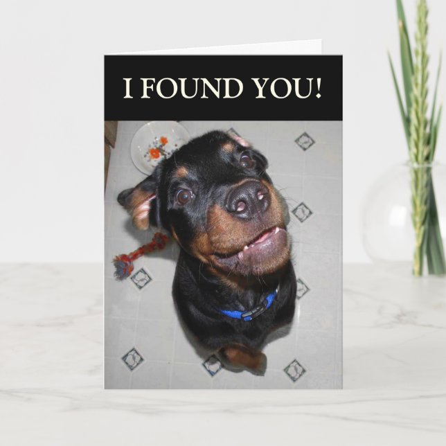 Birthday Boy Funny Rottweiler Card (Front)