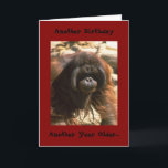 Birthday Brother Card<br><div class="desc">Happy Birthday Brother</div>