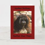 Birthday Brother Card<br><div class="desc">Happy Birthday Brother</div>