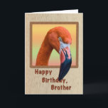 Birthday, Brother, Flamingo Bird Card<br><div class="desc">The American Flamingo maintains his lovely pink feathers with a seafood diet,  but during breeding his feathers can turn a bright orange.   He makes a colourful birthday greeting card.</div>