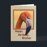 Birthday, Brother, Flamingo Bird Card<br><div class="desc">The American Flamingo maintains his lovely pink feathers with a seafood diet,  but during breeding his feathers can turn a bright orange.   He makes a colourful birthday greeting card.</div>