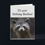 Birthday BROTHER Fun Age Humour Sad Racoon Humour Card<br><div class="desc">Birthday Blahs for your BROTHER Fun Age You're trash to me  Humourous Racoon Animal art</div>