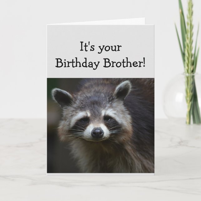 Birthday BROTHER Fun Age Humour Sad Racoon Humour Card (Front)