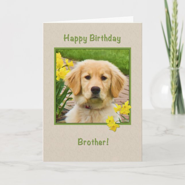 Birthday, Brother, Golden Retriever Dog, Daffodils Card (Front)