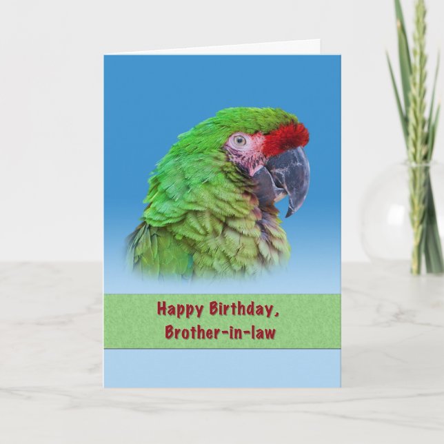 Birthday,  Brother-in-law,  Green Parrot Card (Front)