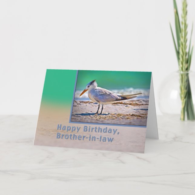Birthday, Brother-in-law , Royal Tern Bird Card (Front)
