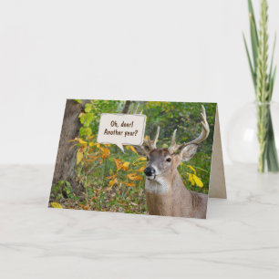 Birthday Buck in Woods Card