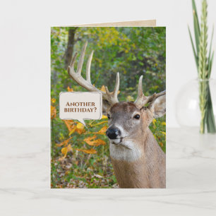 Birthday Buck In Woods  Card