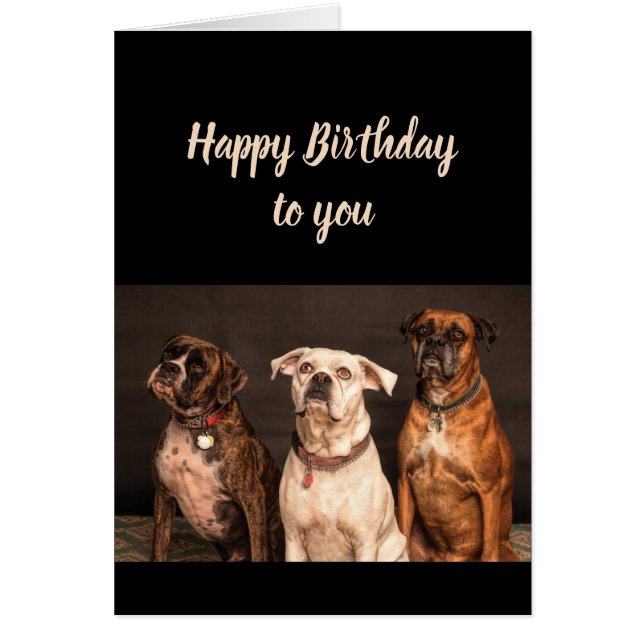 Birthday Cake Humor From all of Us Boxer Dog Fun (Front)