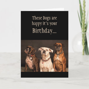 Birthday Cake Humour Hope you Trip Boxer Dogs Funn Card