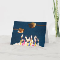 birthday cake with marshmallow roast
