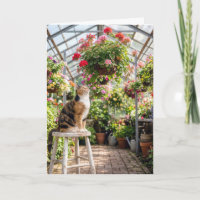 Birthday Calico Cat on a Greenhouse Stool