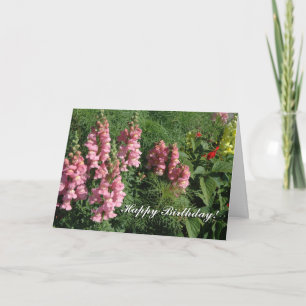 Birthday Card