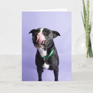 Birthday Card