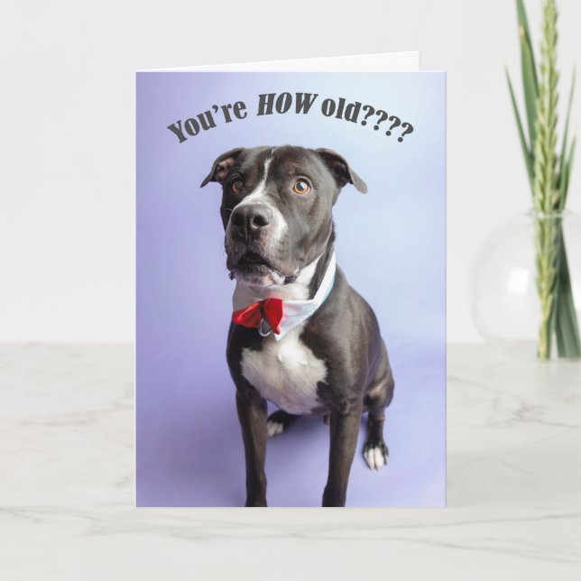 Birthday card (Front)