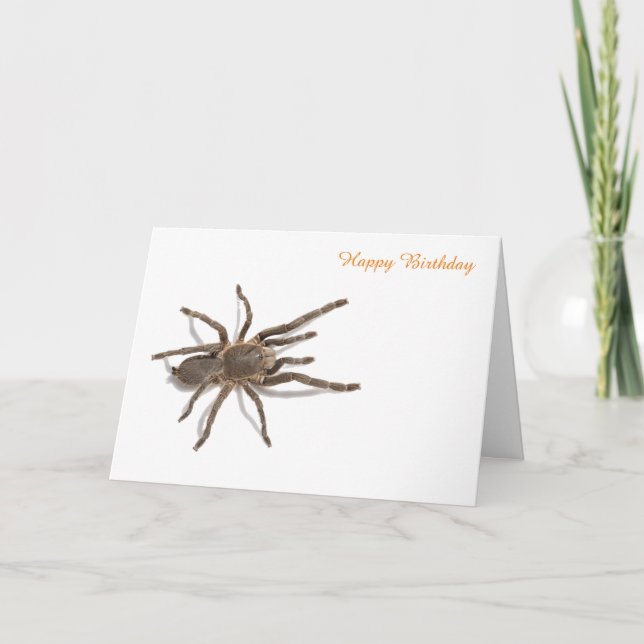 Birthday Card (Front)