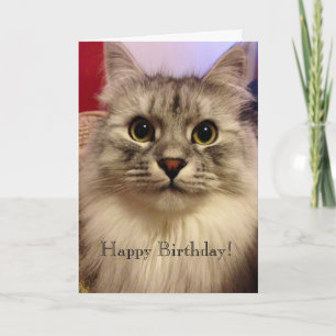 Birthday Card