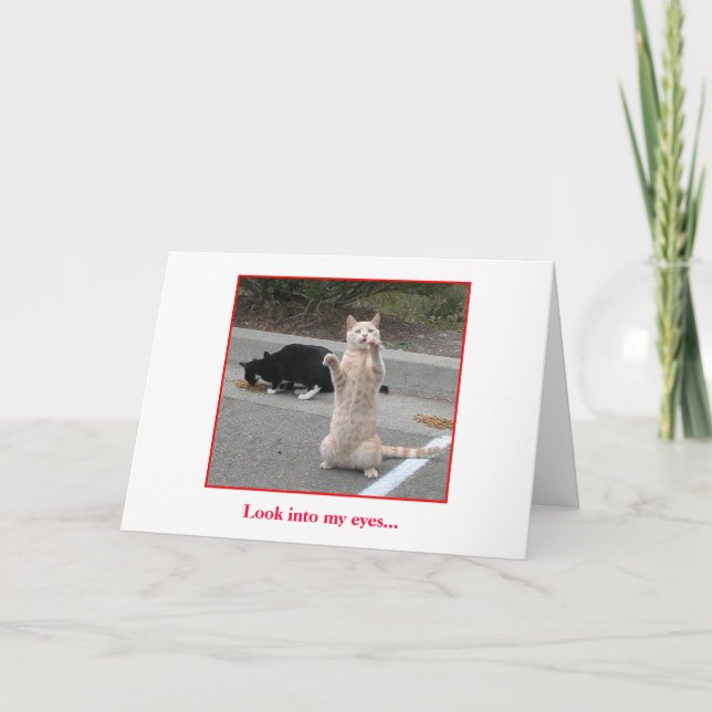 Birthday Card (Front)