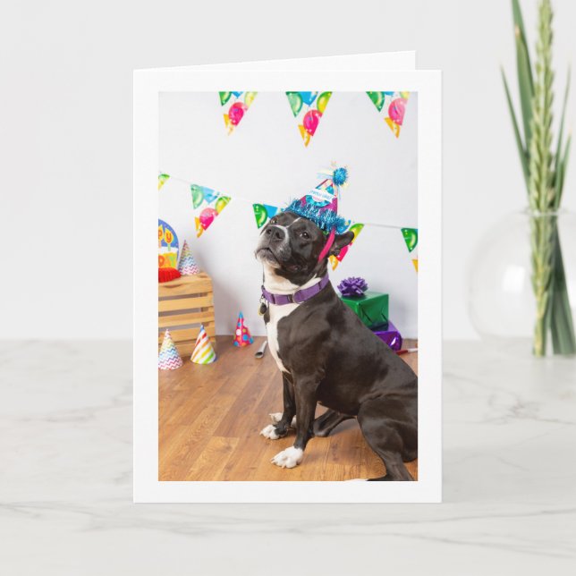 Birthday card (Front)