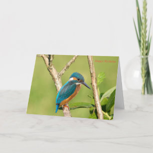 Birthday Card