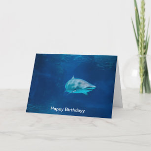 Birthday Card