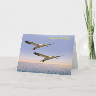 Birthday Card