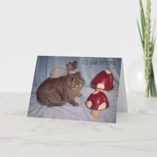 BIRTHDAY CARD