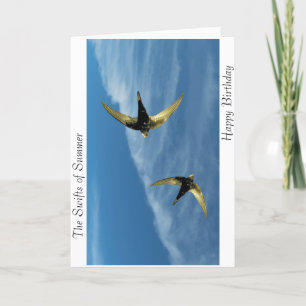 Birthday Card