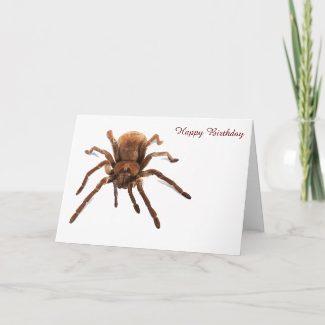 Birthday Card (Front)