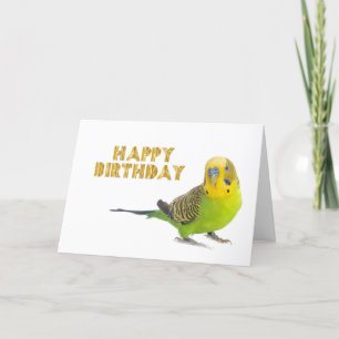Birthday Card