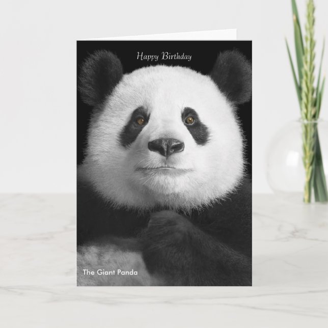 Birthday Card (Front)