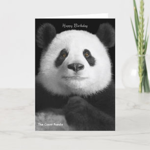 Birthday Card