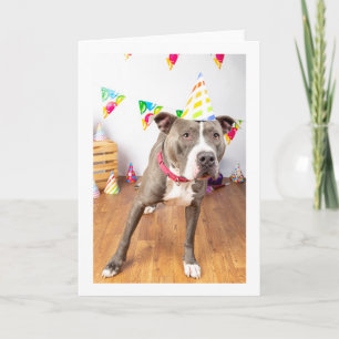 Birthday card