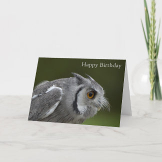 Birthday Card - Baby Grey Owl