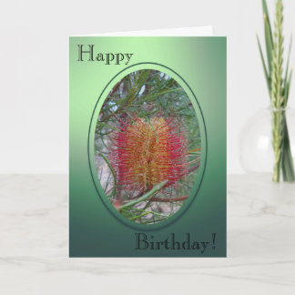 Birthday Card - Banksia Flower