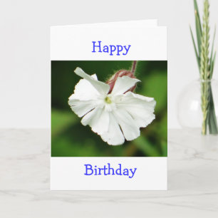 Birthday card beautiful white flower