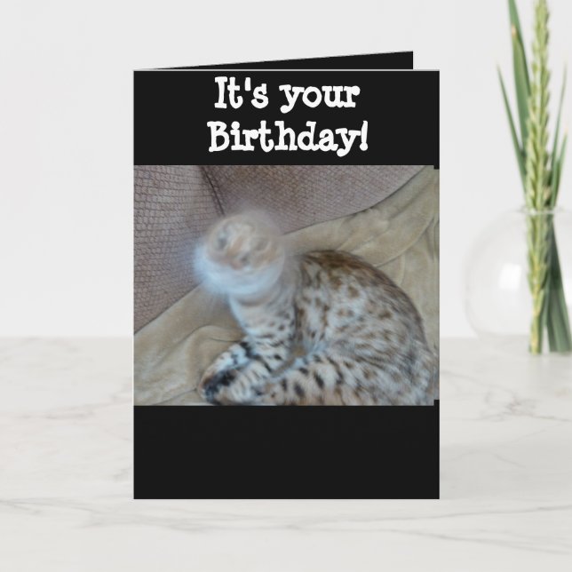 Birthday card - Bengal cat (Front)