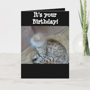 Birthday card - Bengal cat