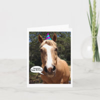 Birthday Card - Bess the Horse