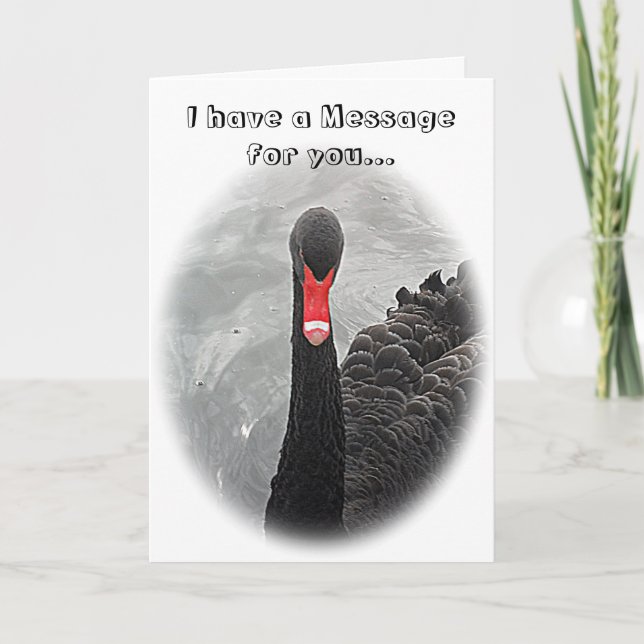 Birthday Card - Black Swan (Front)