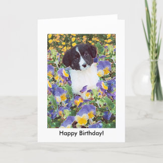 birthday card - Border Collie Pup and Flowers