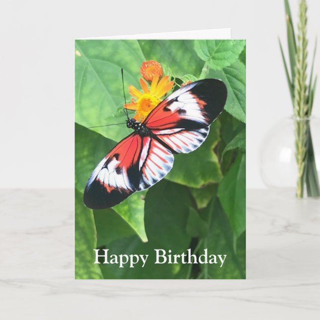 Birthday Card Butterfly with Kafka Quote (Front)