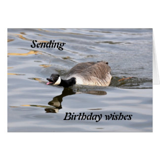 Goose Birthday Cards & Invitations | Zazzle.co.uk