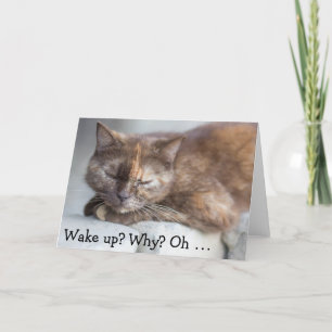 Birthday Card&Cat: Wake up for a happy Birthday Card