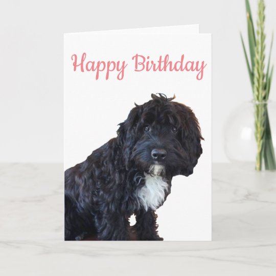 happy birthday cockapoo